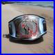 3D_Cm_Punk_434_Days_Record_Spinner_Champion_Ship_Wrestling_Belt_Adult_2mmbrass_01_hkxf