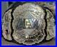 AEW_Shop_World_Championship_Belt_Restoned_with_Swarovski_stones_on_real_leather_01_gwfo