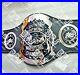 AWA_Southern_Heavyweight_Wrestling_Championship_Title_Belt_01_ms