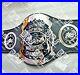 AWA_Southern_Heavyweight_Wrestling_Championship_Title_Belt_01_phi