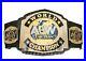 Aew_World_Tag_Team_Championship_Wrestling_Belt_Adult_Size_01_wz