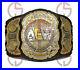 All_Elite_Wrestling_Aew_Wrestling_Championship_Belt_2mm_Zinc_Adult_Size_01_tq