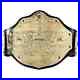 BIG_GOLD_World_Heavyweight_Championship_Replica_Tittle_Belt_Adult_2MM_BrassPlate_01_mb