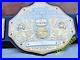 BIG_GOLD_World_Heavyweight_Championship_Replica_Tittle_Belt_Adult_6MM_DieCasting_01_fcaa