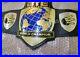 BTE_World_Championship_Leather_Belt_2MM_Brass_Metal_Plates_Adult_size_01_oe