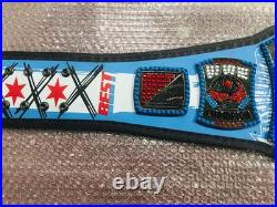 CM Punk Signature Series 434 Days Record Wrestling Championship Replica Belt
