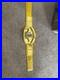Championship_Wrestling_Replica_Belt_01_zoyn