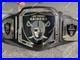 Custom_Los_Angeles_Raiders_Championship_Title_Belt_Adult_Size_2MM_Brass_01_adev