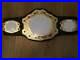Deluxe_Championship_Title_Belt_Wrestling_Belt_MMA_Boxing_Kickboxing_01_ktgh