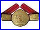 Fashion_Fandu_Big_Gold_Heavyweight_Championship_Title_Belt_Black_Red_Strap_01_vibl
