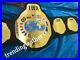 IWA_HEAVYWEIGHT_WRESTLING_CHAMPIONSHIP_Belt_Adult_Size_01_lxq