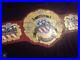 IWGP_United_States_Wrestling_Championship_Title_Belt_01_zf