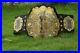 IWGP_heavyweight_championship_belt_Adult_size_belt_01_wxb