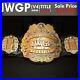 IWGP_v4_Heavyweight_Championship_Belt_JAPAN_PRO_WRESTLING_4th_Generation_Title_01_ncoc