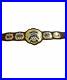 Iwgp_UNITED_STATES_championship_belt_adult_size_replica_4MM_THICK_PLATES_01_bw