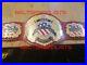 Iwgp_United_States_Championship_Wrestling_Belt_Adult_Size_01_zldu