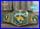 Jacksonville_Jaguars_NFL_Championship_Wrestling_Belt_2mm_Brass_Adult_Size_01_afxu