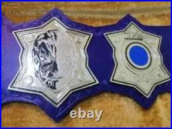 Jeff Hardy Belt Tna Wrestling Championship Belt New Adult Size Replica Belt 2023