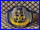 Michigan_Championship_Belt_Custom_Wrestling_Style_Nickel_plated_2mm_Brass_On_01_ik