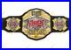 NEW_GCW_Ultraviolen_wrestling_CHAMPIONSHIP_BELT_ADULT_SIZE_2mm_BRASS_01_roy