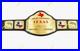 NEW_HEAVYWEIGHT_TEXAS_WRESTLING_CHAMPIONSHIP_BELT_ADULT_SIZE_2mm_BRASS_01_ij