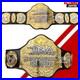 NEW_TNA_World_Heavyweight_Wrestling_Championship_Belt_Adult_Size_Dual_Layers_01_kin