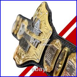 NEW TNA World Heavyweight Wrestling Championship Belt Adult Size Dual Layers