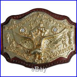 NWA 7 Plate Cast World Tag Team Championship