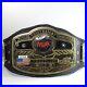 NWA_Dome_Globe_F_S_4mm_Plates_Replica_Championship_Belt_Wrestling_Heavyweight_01_wmyb