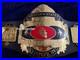 NWA_WESTERN_STATES_CHAMPIONSHIP_BELT_ADULT_Size_Replica_Zinc_Plates_01_we