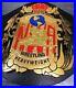 NWA_World_Tag_Team_Heavyweight_Title_Championship_Belt_Adult_Size_Old_01_ttx