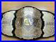 New_AEW_World_Champion_All_Elite_Wrestling_Championship_Replica_Belt_2mm_01_mg