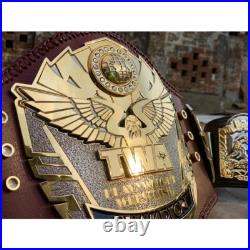 New CUSTOM TWA Double Lawyer Championship Wrestling 4mm Zinc Belt Deep engraving