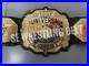 New_DDT_Universal_Heavyweight_Wrestling_Championship_Adult_Size_Replica_4mm_Belt_01_thi
