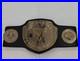 New_NT_Fight_Series_Titles_Boxing_Wrestling_Championship_Belt_01_br