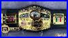 New_Nwa_Domed_Globe_World_Championship_Title_Belt_Review_01_xc