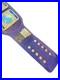 New_Oval_Fedration_Intercontinental_Championship_Belt_01_vxh