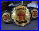 New_TNA_World_Championship_Belt_2MM_Plates_Gold_Replica_Wrestling_Title_Adult_01_hluj