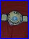 New_WWE_BIG_EAGLE_Wrestling_Championship_Title_Belt_Replica_01_je