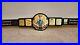 New_WWF_Attitude_Era_big_eagle_championship_belt_adult_size_01_cono