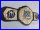 New_World_Heavyweight_Wrestling_Championship_Title_6mm_diecast_Adult_Size_Belt_01_mdx