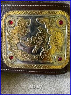Nwa Big Gold World Heavyweight Championship Wrestling Title Belt & Stand Wwe