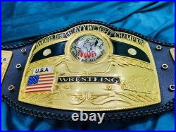 Nwa Domed Globe World Heavyweight Championship Belt Adult Size Replica 6mm Zinc