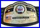 Nwa_Domed_Globe_World_Heavyweight_Championship_Belt_Brass_Adult_Size_Replica_01_vtm