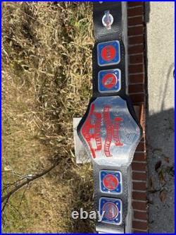 Nwa Television Heavyweight Wrestling Championship 2mm Belt Adult Size