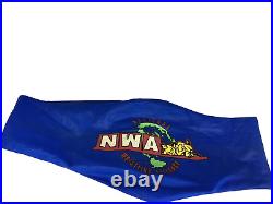 Official Premier Nwa Domed Globe Heavyweight Championship Replica Wrestling Belt