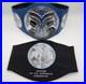 Official_WWE_Smackdown_Tag_Team_Championship_Title_Commemorative_Belt_Authentic_01_sxxs