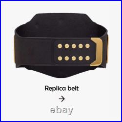 Pro Wrestling Universal Replica Title Belt Adult Size 4mm Brass Plates