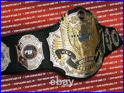Pro Wrestling Unplugged World Championship Belt Adult Replica Title