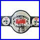 ROH_Ring_of_Honor_World_Tag_Team_Championship_Wrestling_Title_Belt_01_sz